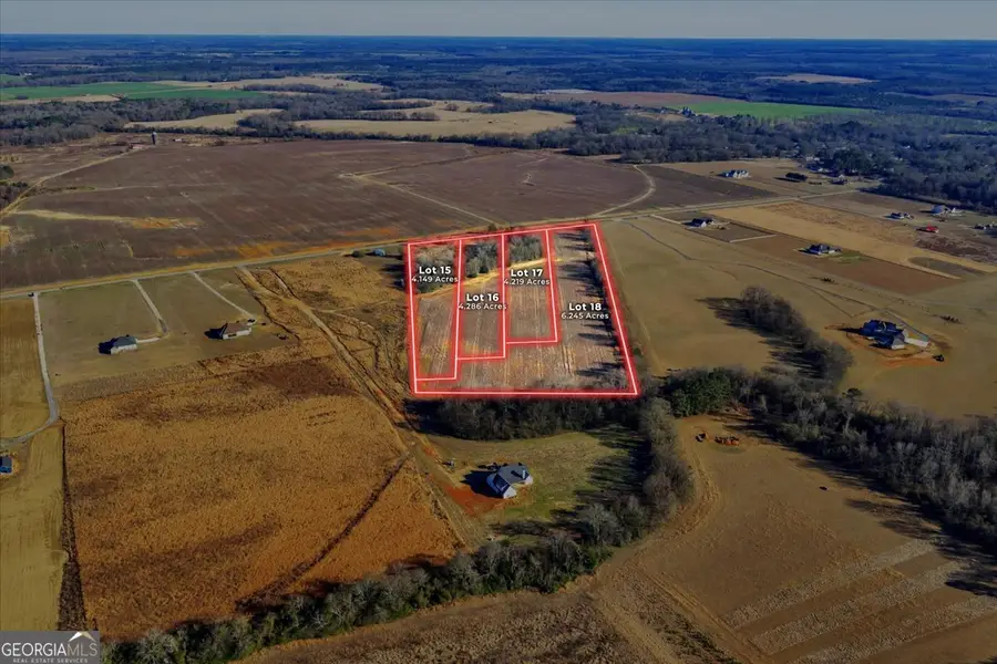 2587 (LOT 17) Elko Road, Elko, GA 31025 - #3