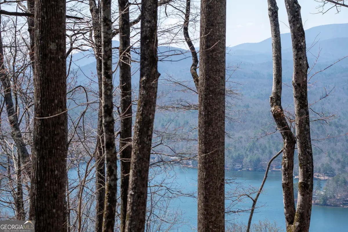 LOT 11 Rainwater Trail, Tiger, GA 30576 - #1