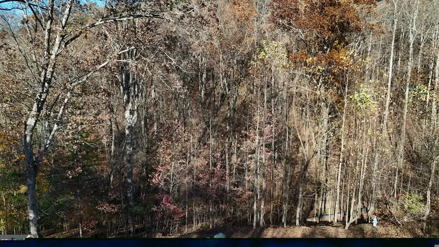 LOT 198 Northshore Drive, Cleveland, GA 30528 - #3