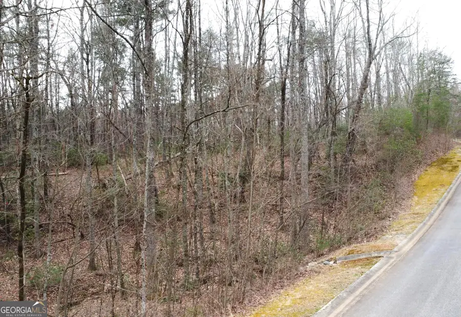 LOT 1446 Glazenwood Drive, Clarkesville, GA 30523 - #2
