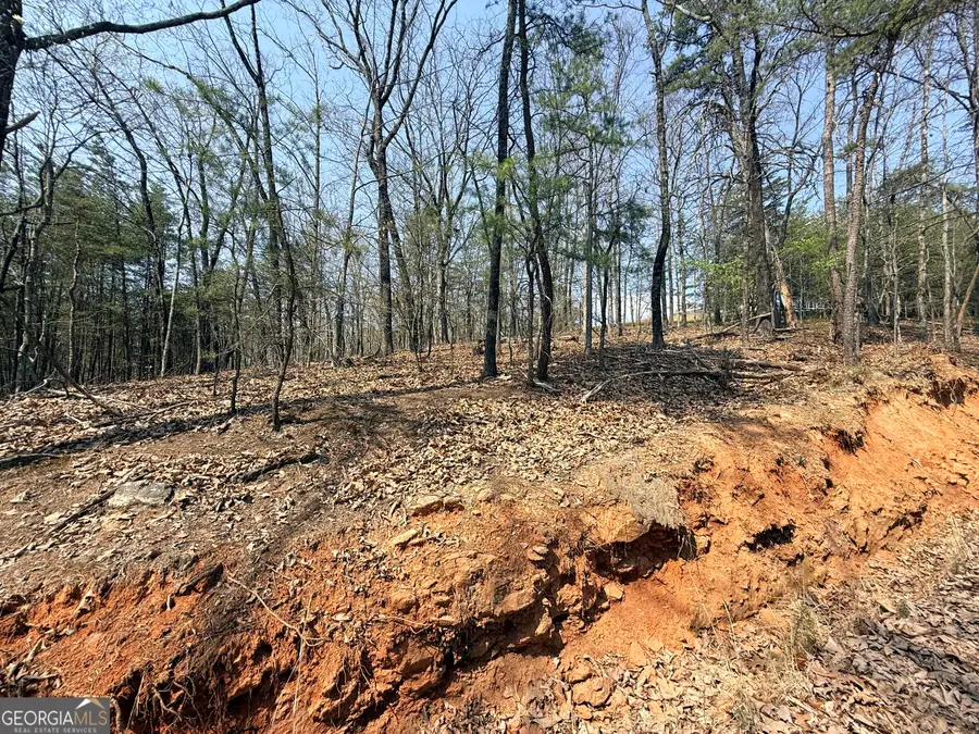 0 Baldwin Heights Road, Banks, GA 30511 - #3