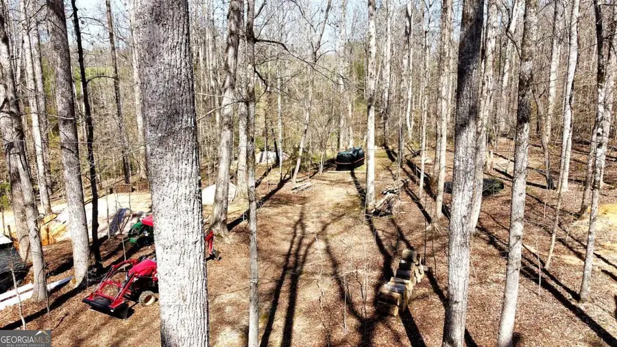 1125 Pecks Road, Dahlonega, GA 30533 - #3