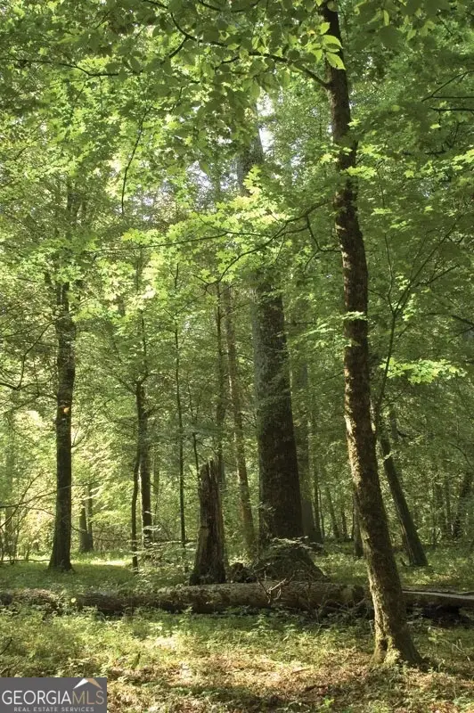 0 SW Troupe Smith Road, Conyers, GA 30094