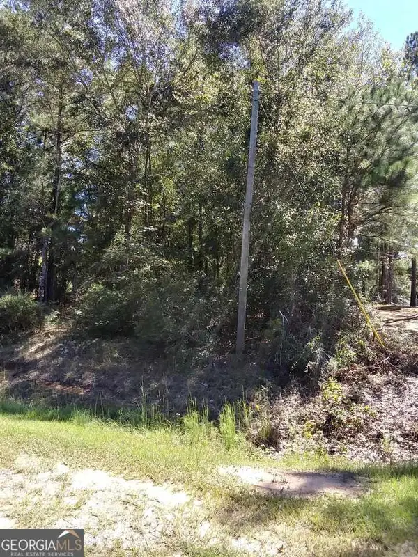 0 Glover Road, Harrison, GA 31035