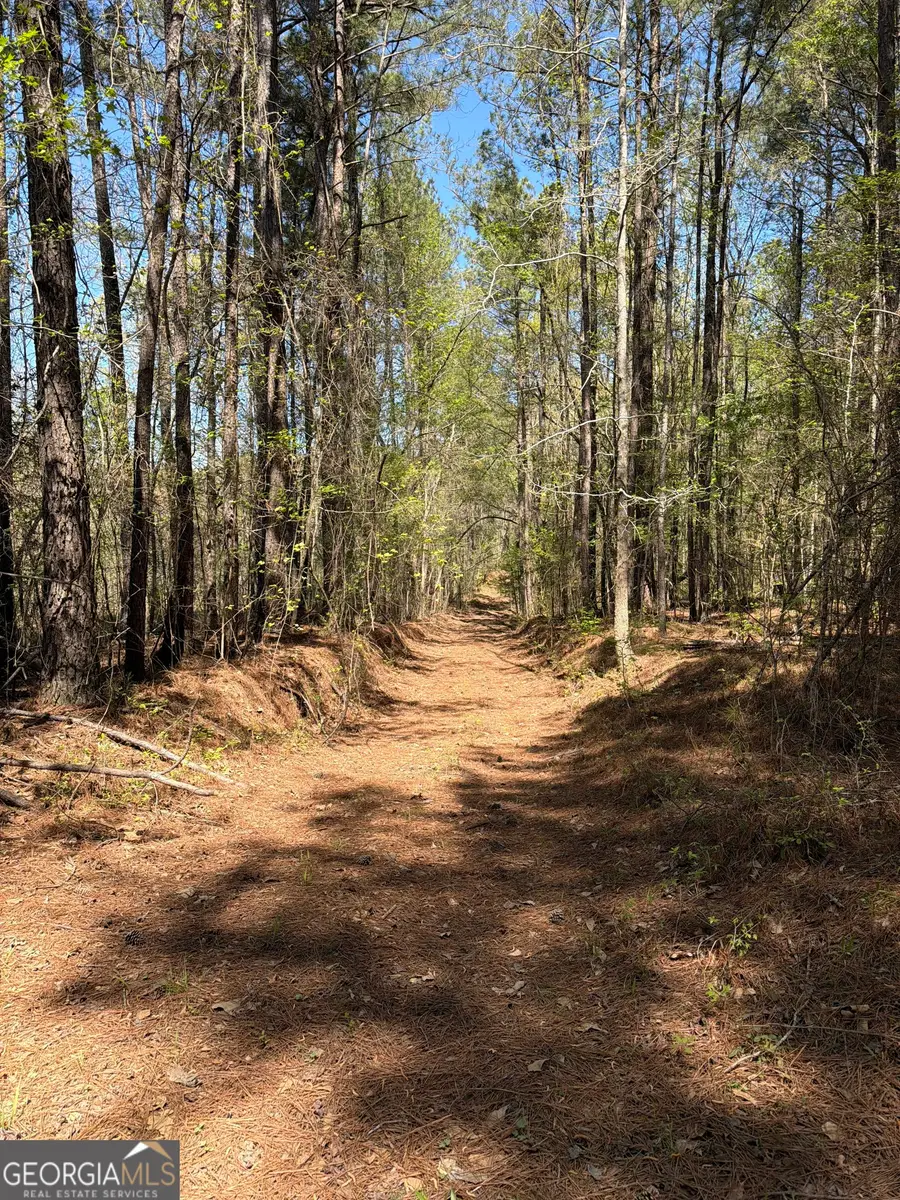 N/A Old Union Point Road, Greensboro, GA 30642 - #3