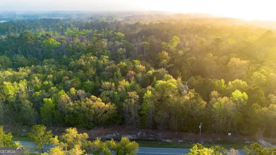 0 Little Mccall Road, Rincon, GA 31326 - #3