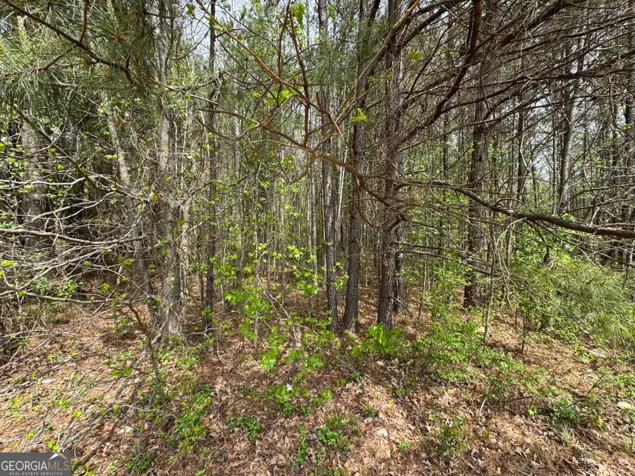 0 Highway 138, Jonesboro, GA 30236 - #3