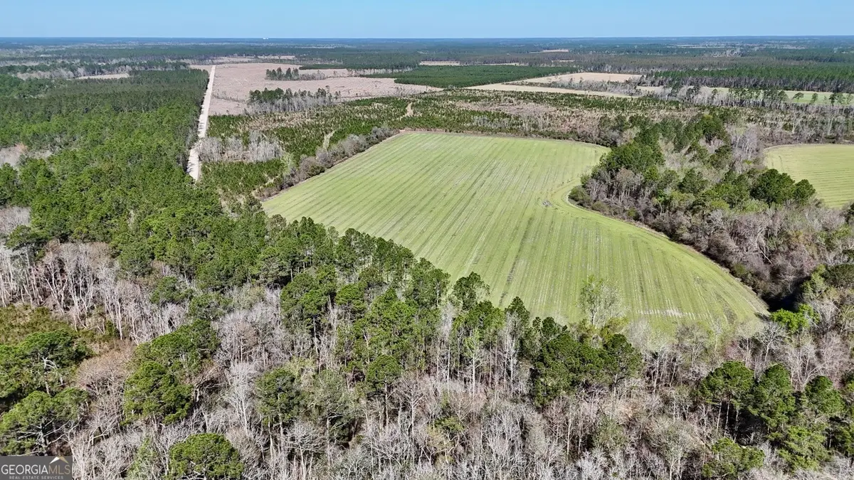 TRACT 6 Ingram Road, Odum, GA 31555 - #1