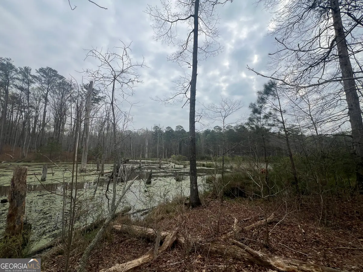 0 Bethlehem Church Road, Grantville, GA 30220 - #1