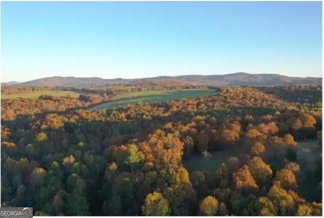 2320 Hardman Road, Clarkesville, GA 30523 - #3