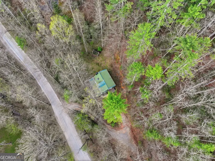 1780 Conasauga Road, Ellijay, GA 30540 - #2