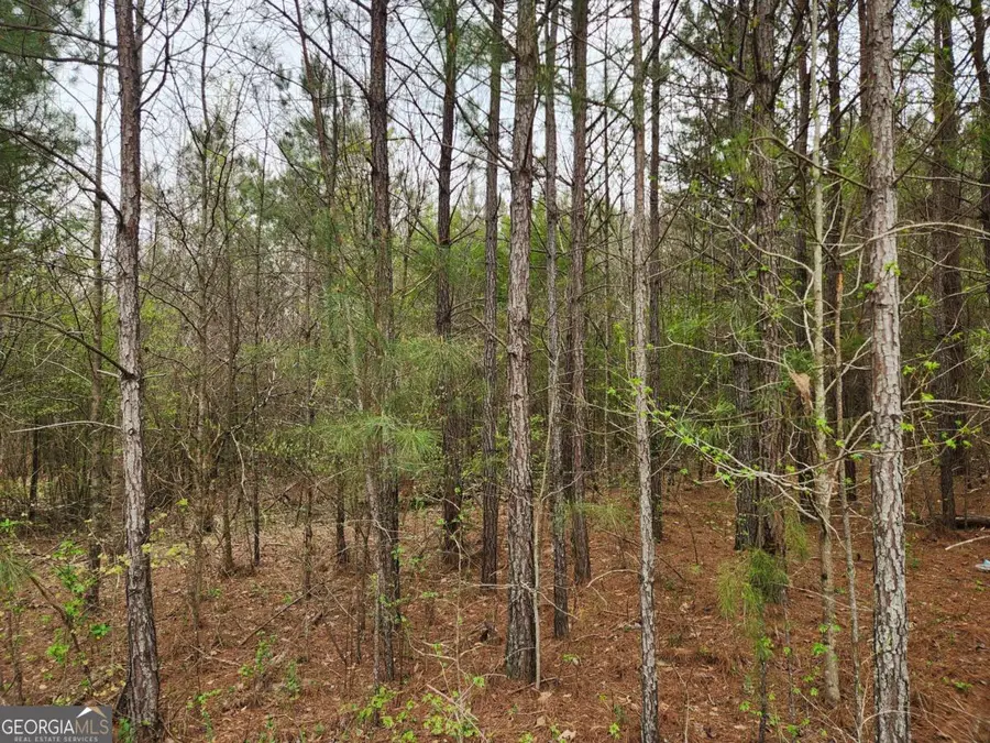 0 Glen Helton Road, Temple, GA 30179 - #3