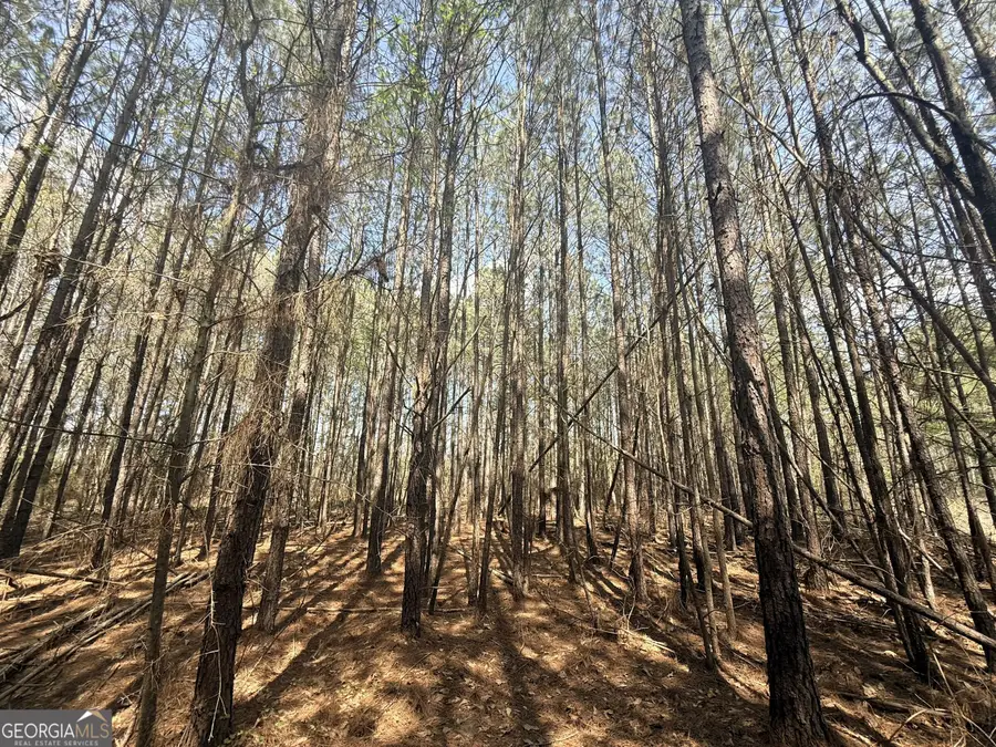 14 Hollis Norman Road, Tignall, GA 30668 - #3