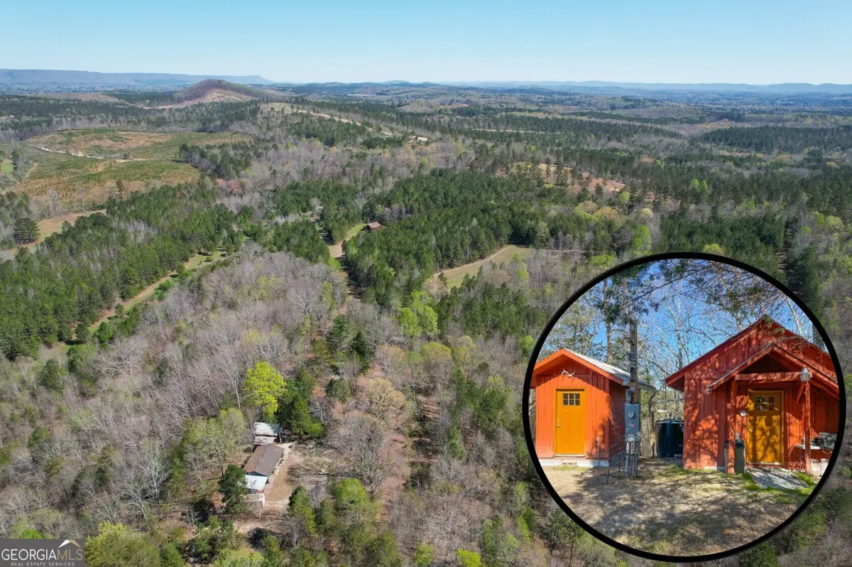 65 +/- Acres On Half Mile Road, Lyerly, GA 30730 - #1