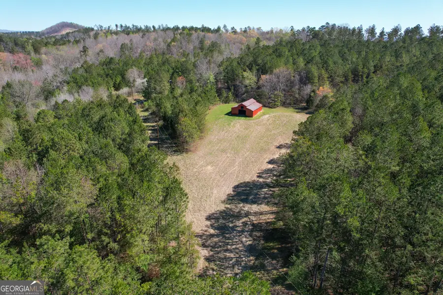 65 +/- Acres On Half Mile Road, Lyerly, GA 30730 - #3