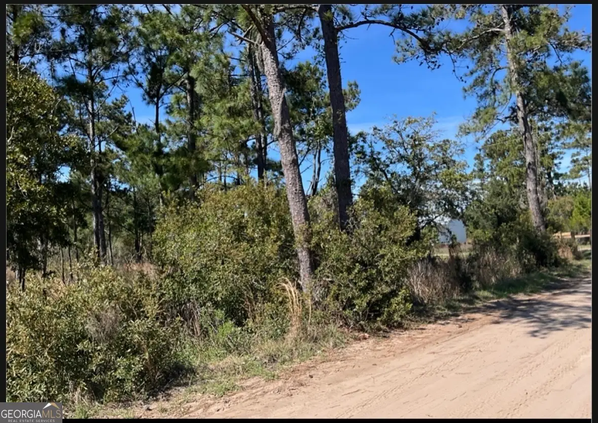 PT LT 24X E West Autobahn Road, Sapelo Island, GA 31327 - #1