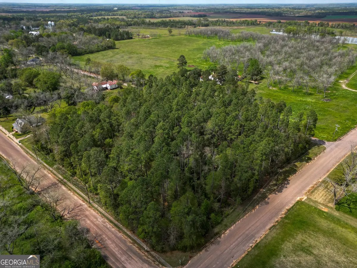 109 Main Street, Parrott, GA 39877 - #1