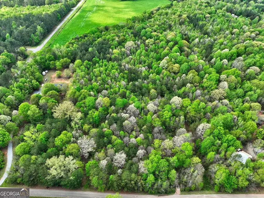 LOT 18 Shady Farms Road, Monticello, GA 31064 - #2