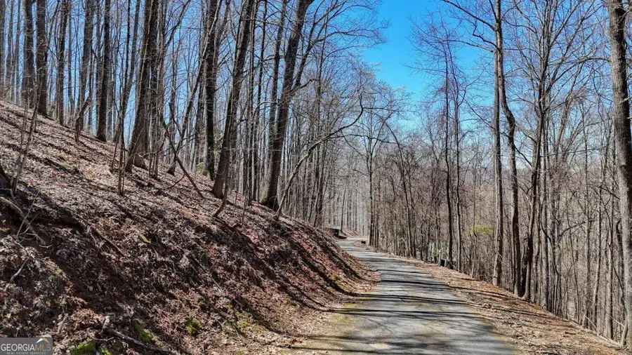 LOT 100 Timberline Acres #100, Young Harris, GA 30582 - #2