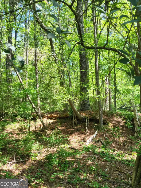 0 NW Grove Park Place Nw, Atlanta, GA 30318