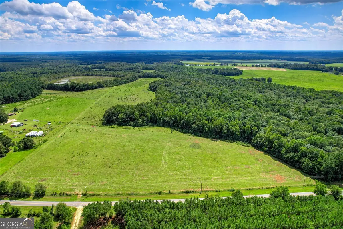 3280 Eden Church Road, Louisville, GA 30434 - #1