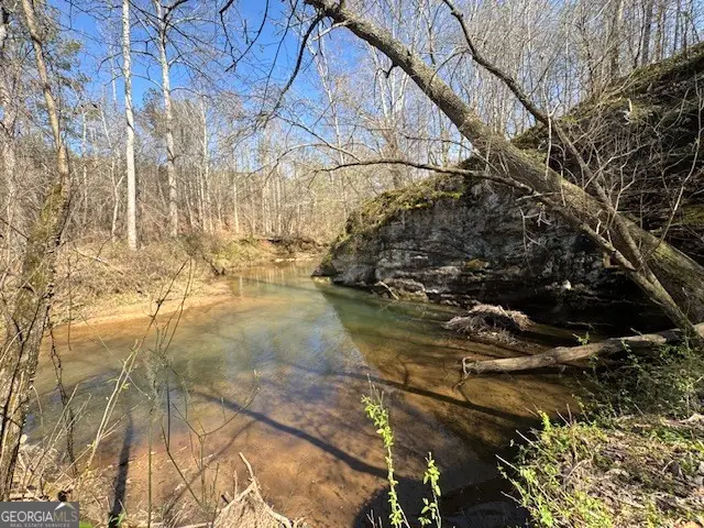 600 Yarbrough Road, Franklin, GA 30217 - #1