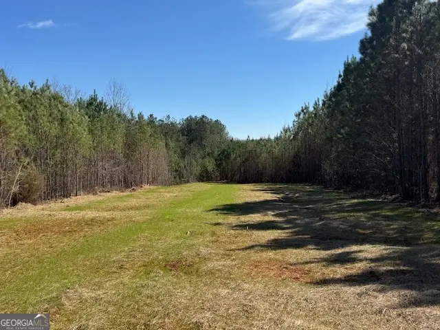 600 Yarbrough Road, Franklin, GA 30217 - #2