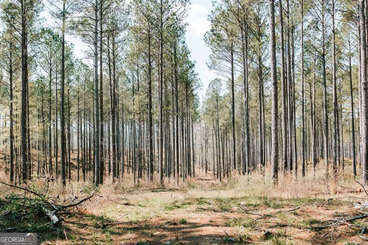 0 Washington Road, Lexington, GA 30648 - #1