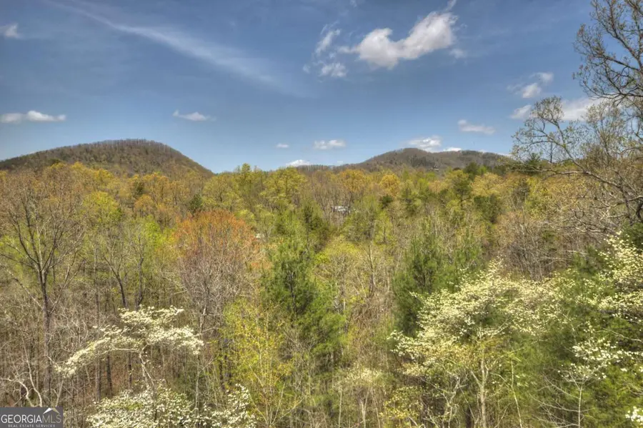 220 Lakota Lane, Mineral Bluff, GA 30559 - #2