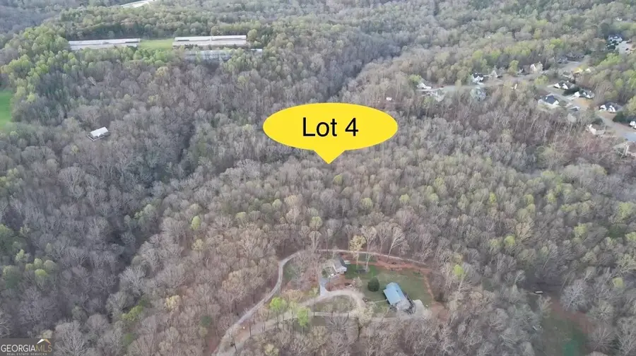 427 Kinney Creek Lane, Pendergrass, GA 30567 - #2