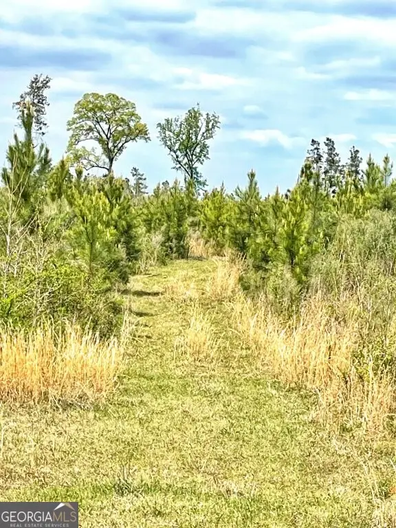 0 Fullerton-phillips & Greer Road, Hillsboro, GA 31038 - #2