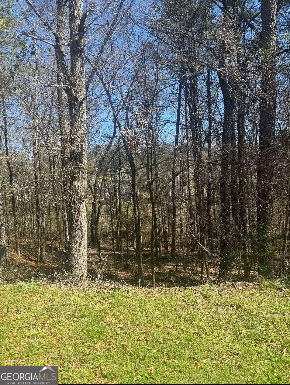 3740 Mountain Cove Road, Snellville, GA 30039 - #1