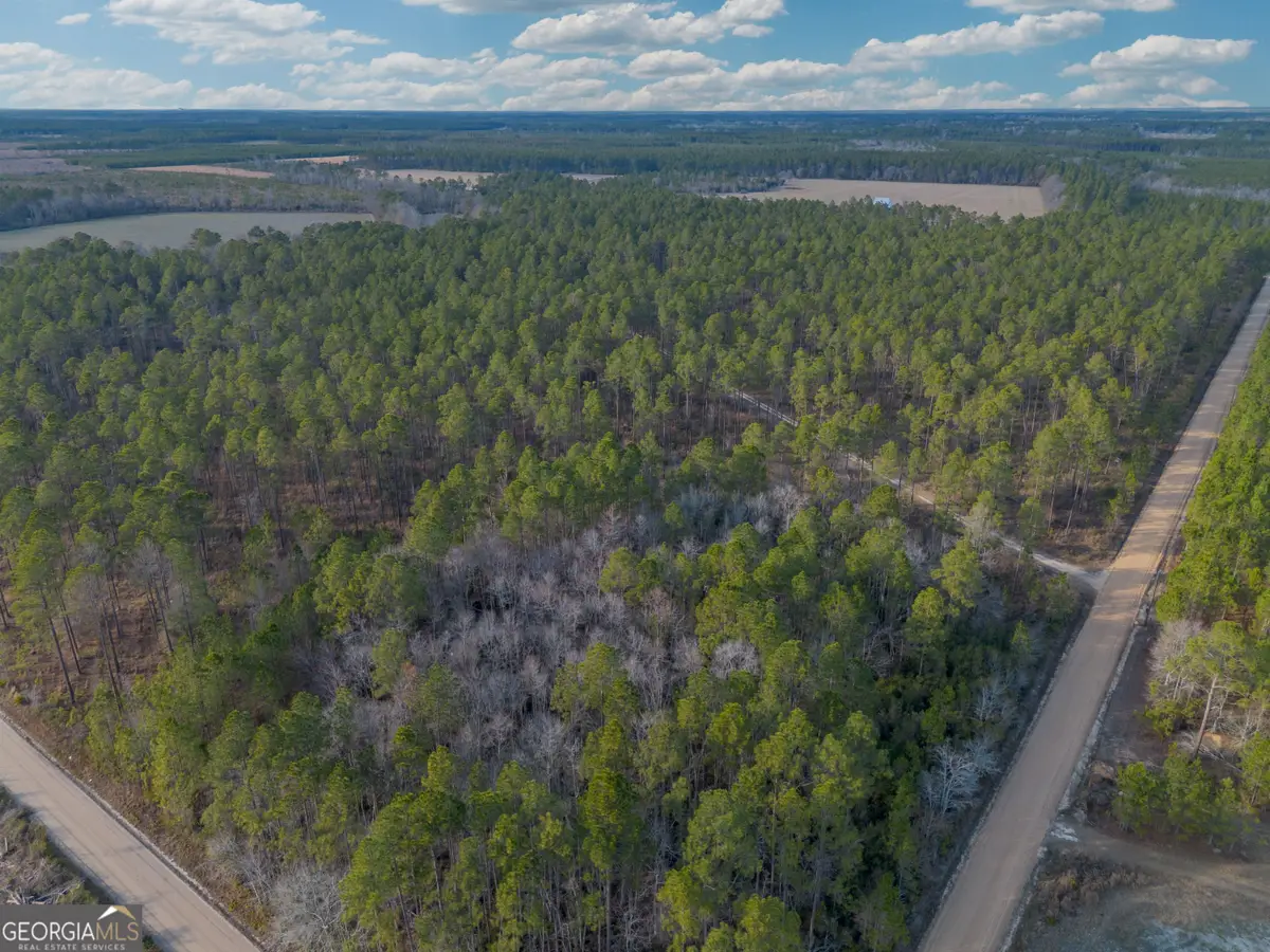 TRACT 5 Reddish Road, Odum, GA 31555 - #1