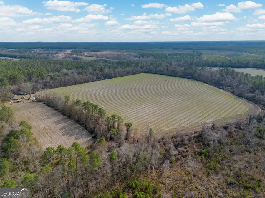 TRACT 5 Reddish Road, Odum, GA 31555 - #3