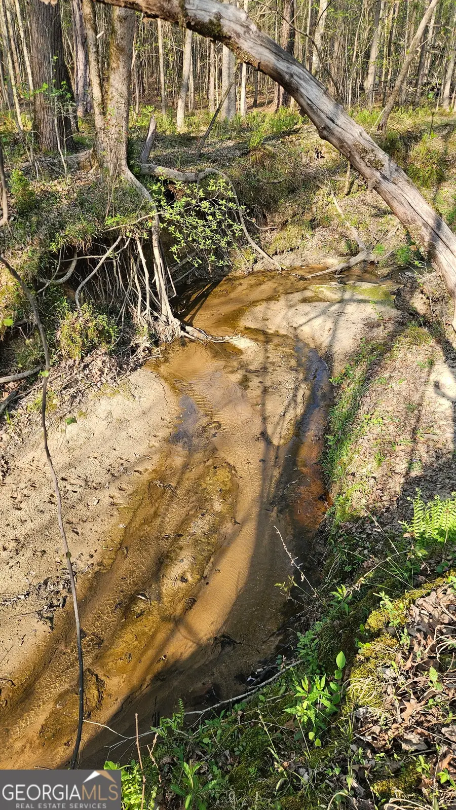 0 Shiloh Road, Greensboro, GA 30642 - #2