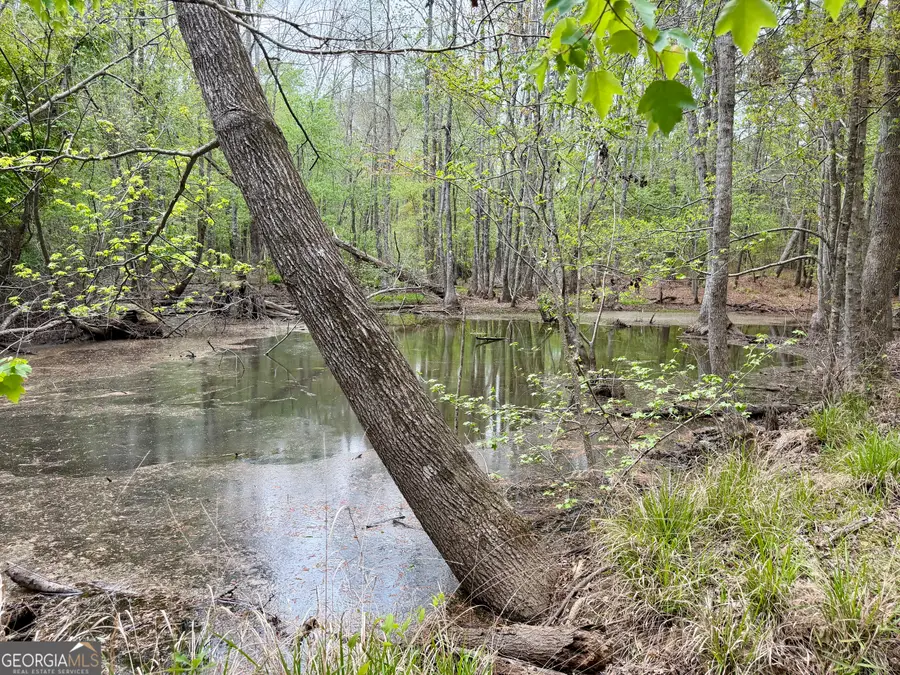 1046 Brantley Road, East Dublin, GA 31027 - #3