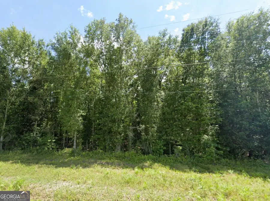 0 Mann Road, Arabi, GA 31712 - #2