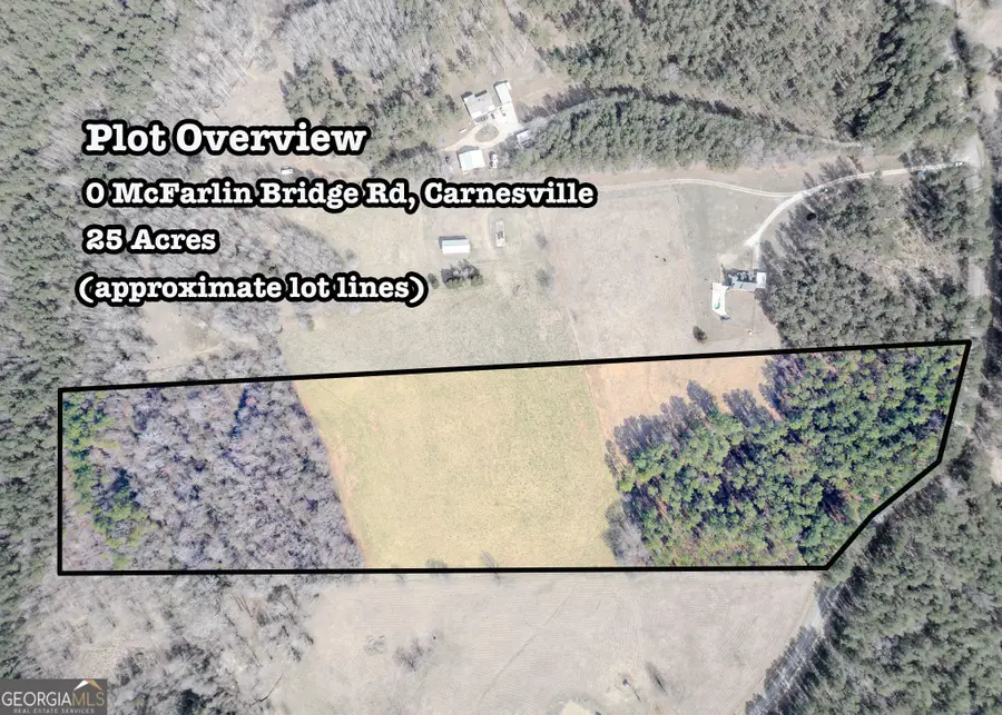 25 ACRES Mcfarlin Bridge, Carnesville, GA 30521 - #2