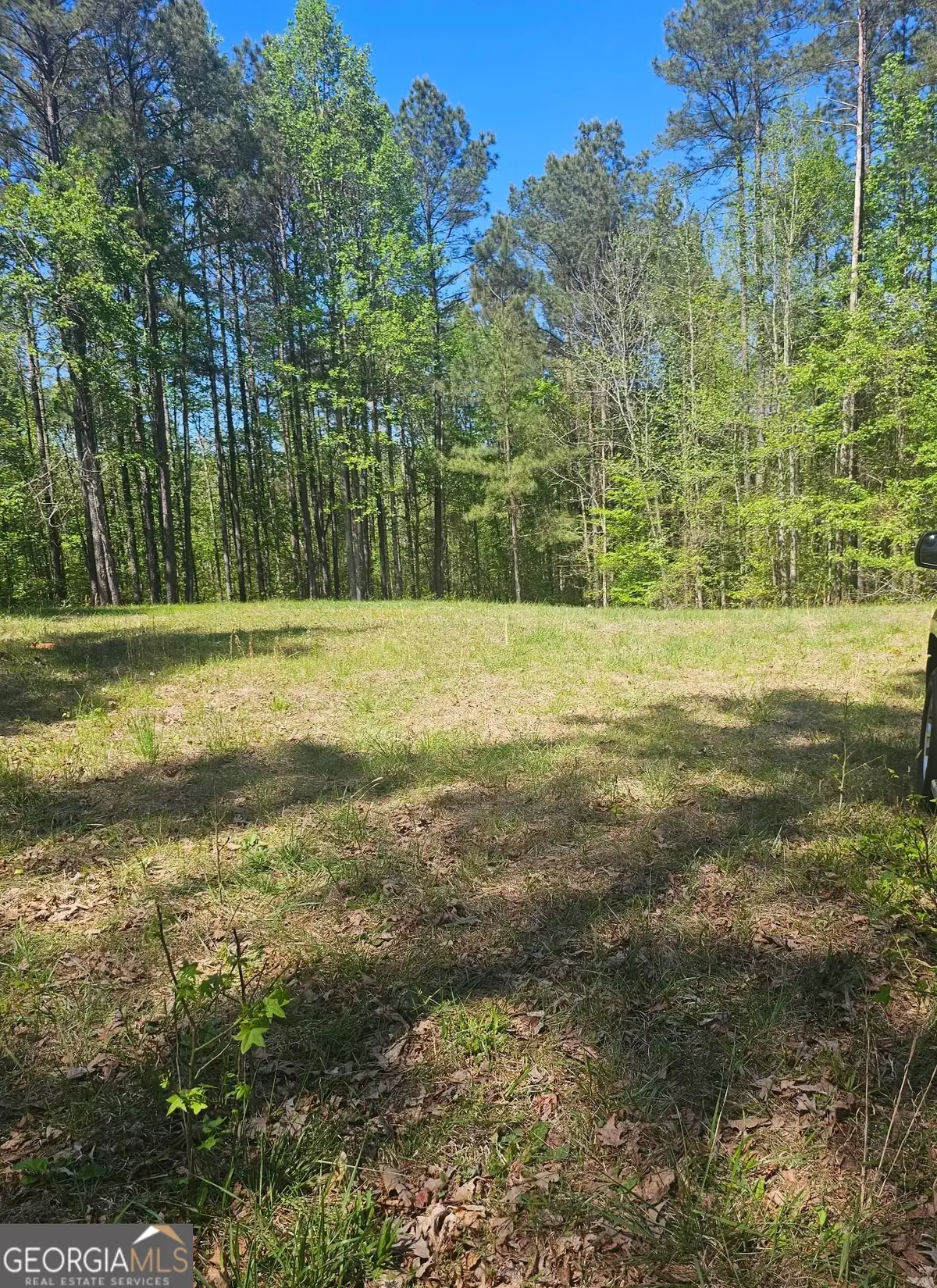 1041 Pintail Lane, Madison, GA 30650 - #1