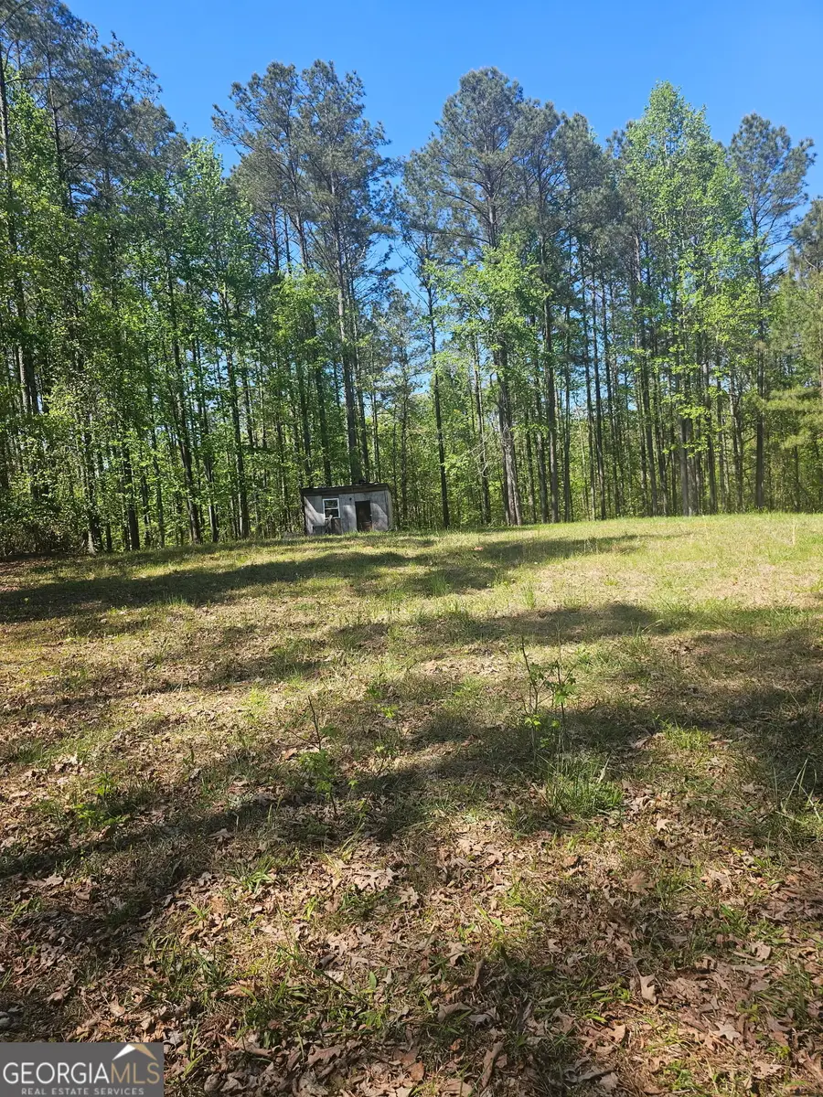 1041 Pintail Lane, Madison, GA 30650 - #3