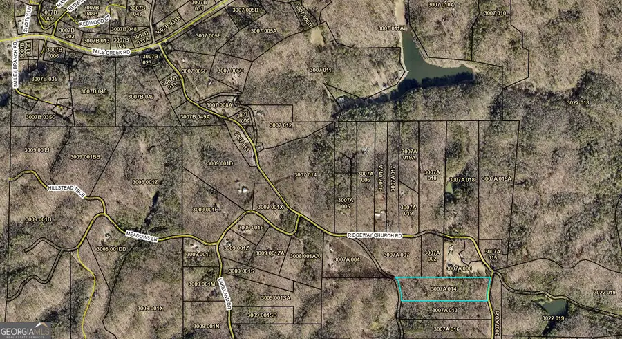 1302 Ridgeway Church Road, Ellijay, GA 30540 - #2