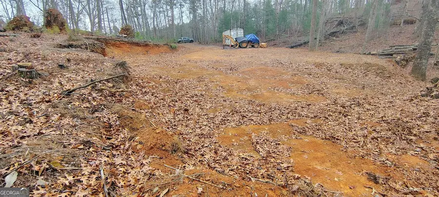 1302 Ridgeway Church Road, Ellijay, GA 30540 - #3