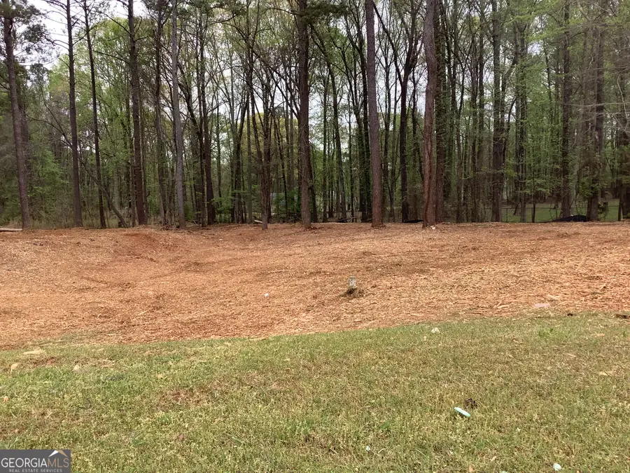 0 Hilo Road, Fayetteville, GA 30215 - #3