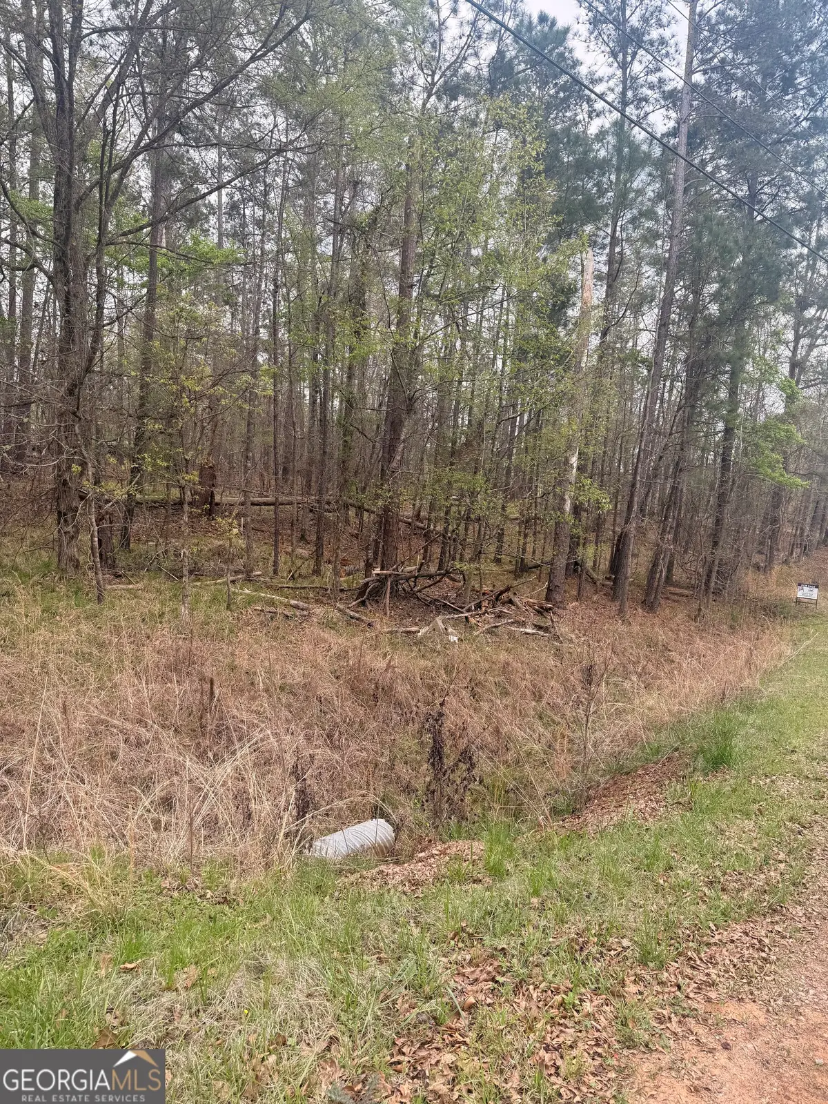 0 Rosedud Court, Sparta, GA 31087 - #1