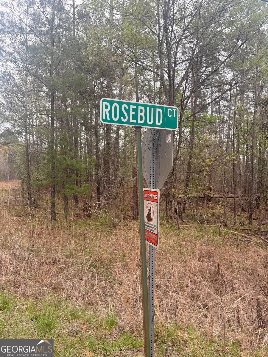 0 Rosedud Court, Sparta, GA 31087 - #2