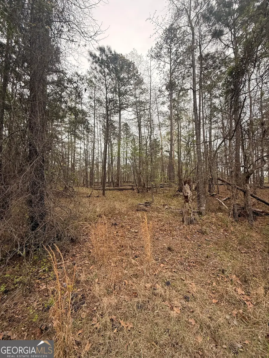 0 Rosedud Court, Sparta, GA 31087 - #3