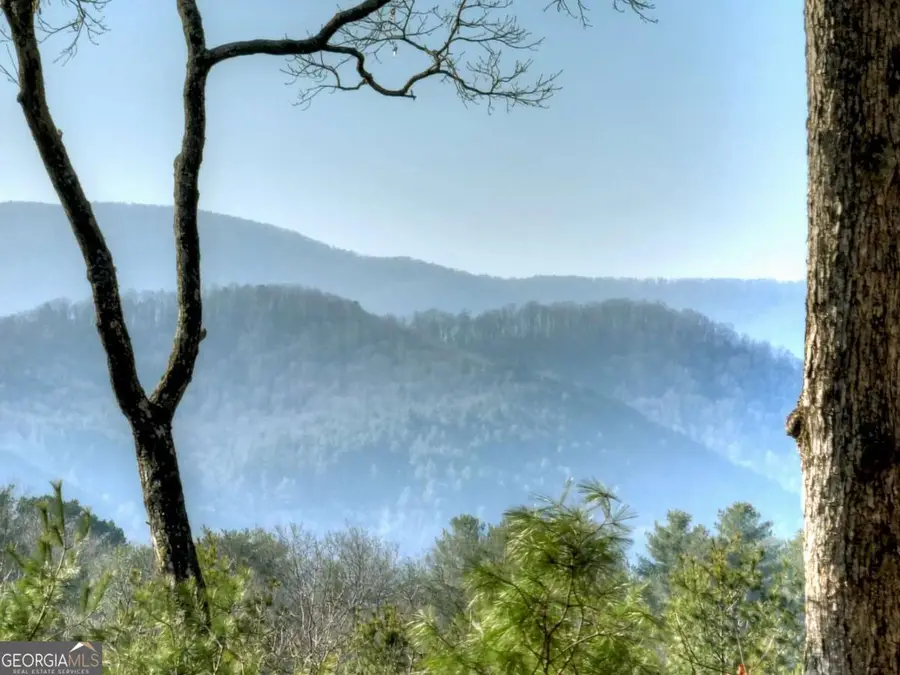 1183 Bear Paw Trail, Blue Ridge, GA 30513 - #3