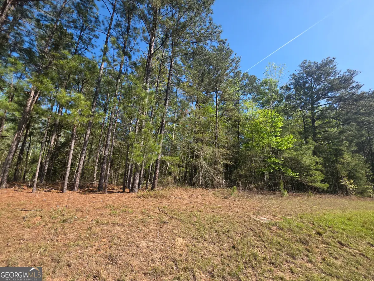 TRACT A Ga Highway 102, Mitchell, GA 30820 - #1
