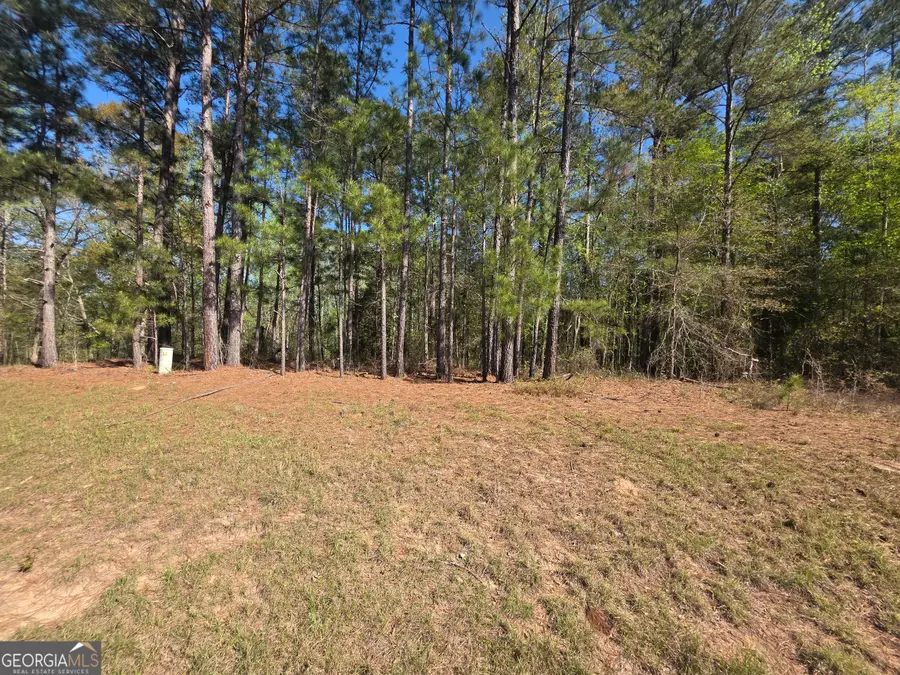 TRACT A Ga Highway 102, Mitchell, GA 30820 - #2