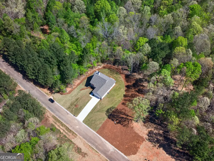 209 Wisteria Lane, Mansfield, GA 30055 - #2